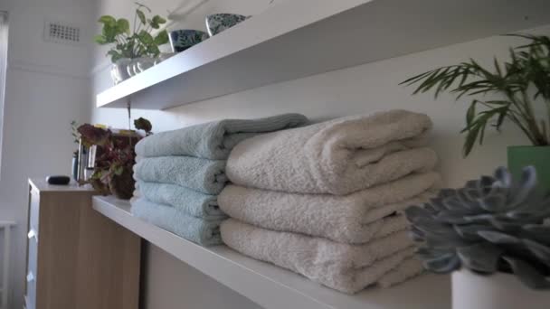 Dolly Shot Bookshelf Plants Towels — Vídeo de stock