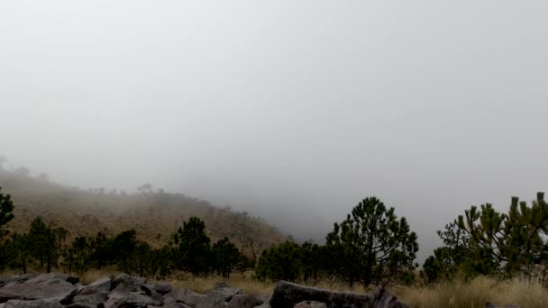 Timelapse Clouds Rollings Hillside Mountains Cerro Del Ajusco Central Mexico — Vídeo de stock