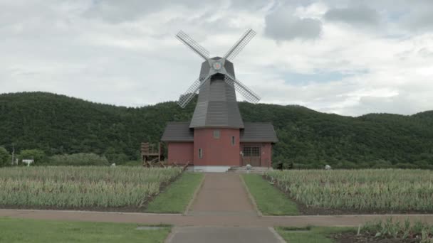Muž Běží Úzké Silnici Nizozemský Větrný Mlýn Horské Siluety Pozadí — Stock video