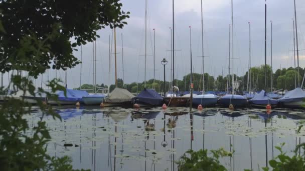 Птахи Гусей Плавають Озері Оутер Альстер Гамбурзі Німеччина Човнами Пришвартованими — стокове відео