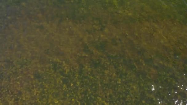Drone Flying Water Surface See Thru Water Rockey Bottom — Stockvideo