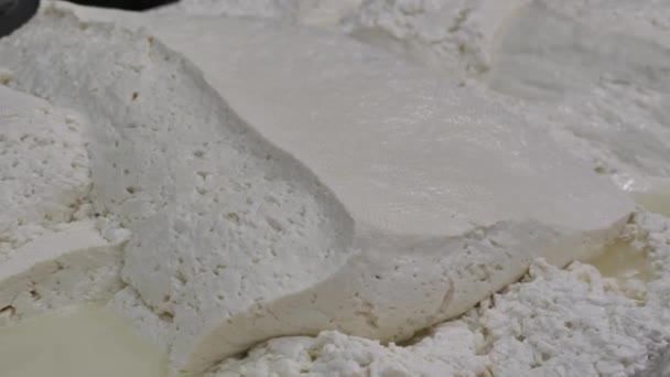 Cottage Cheese Curd Mass Manufacturing Dairy Product Making Food Processing — Vídeo de stock