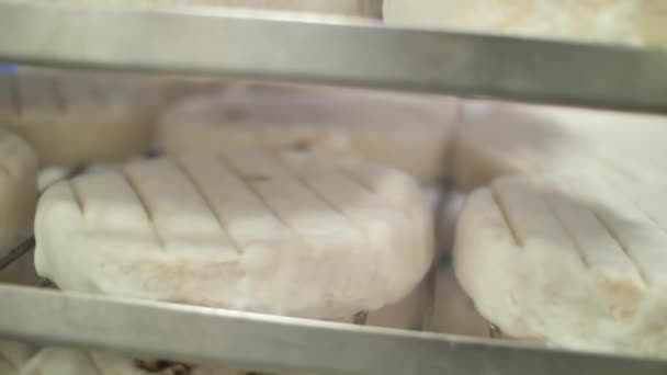 Shelves Rows Cheese Factory Ready Made Product — Vídeo de Stock