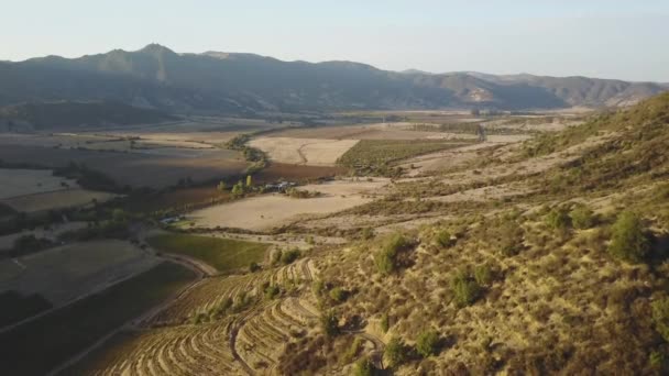 Antenne Der Bodega Colchgua Tal Chile — Stockvideo