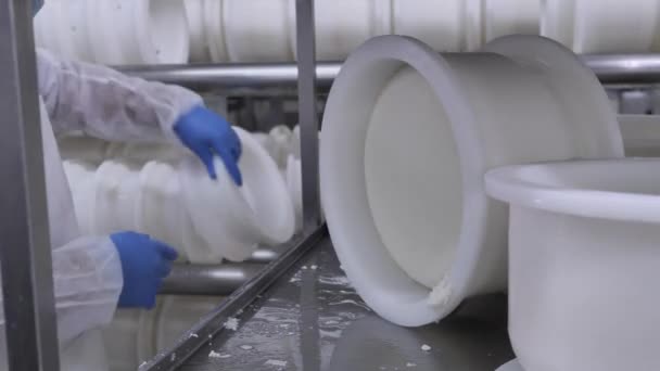 Supervising Cheese Aging Factory Worker Flip Cheese Wheel Plastic Form — Stock Video