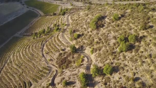 Luftaufnahme Der Weinberge Colchgua Tal Chile — Stockvideo