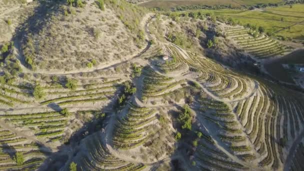 Aerial Winery Hills Colchgua Valley Chile — Stock Video