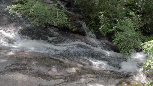 Waterfall Running Rocks Forest North Carolina — Αρχείο Βίντεο