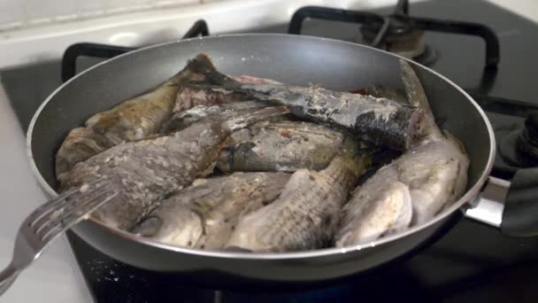 Sea Fish Fried Frying Pan Lunch Close View — Vídeos de Stock