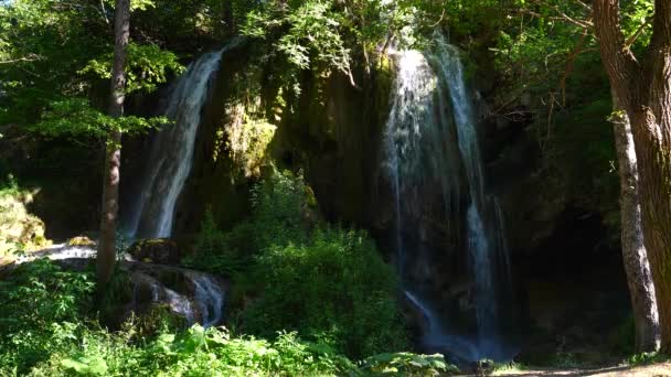 Waterfall Nature Surround Greenery Trees — Αρχείο Βίντεο
