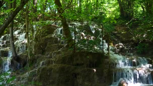 Cascading Waterfall Divided Two Rivers — Video Stock