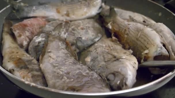 Woman Frys Turns Fish Pan Healty Meal Fresh Sea Fish — Stok video