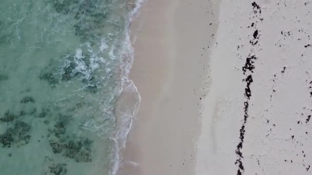 Aerial Drone Looking Straight Crystal Clear Tropical Caribbean Sea Crashing — Vídeo de stock