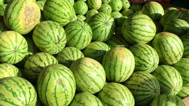 Philippine Watermelon Fruit Files Display Sale — Video Stock