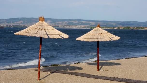 Two Reed Umbrellas Bank River Beach — Stockvideo