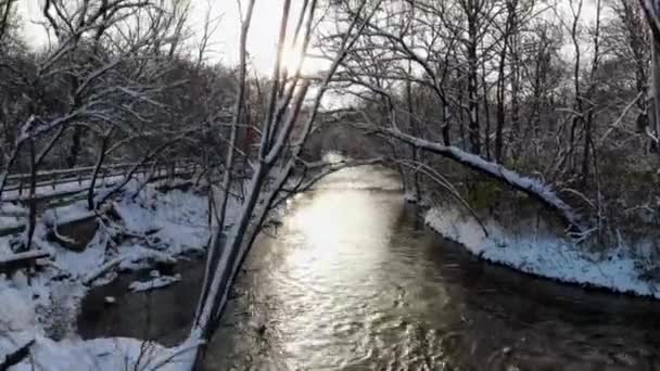 Rising Aerial Shot Wintry Creek Forest Michigan Usa — Wideo stockowe