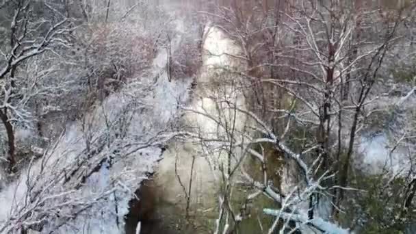 Rising Drone Shot Wintry Forest Creek Michigan Usa — Stockvideo