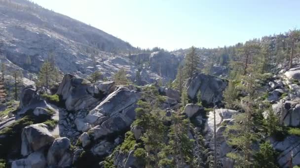 Cienmatic High Resolution Drone Shot Flies Tree Line Reveal Deep — Vídeos de Stock