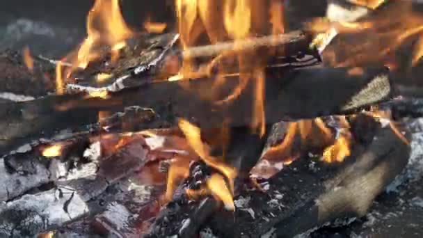 Dry Wood Burns Fire Close View — Vídeo de Stock