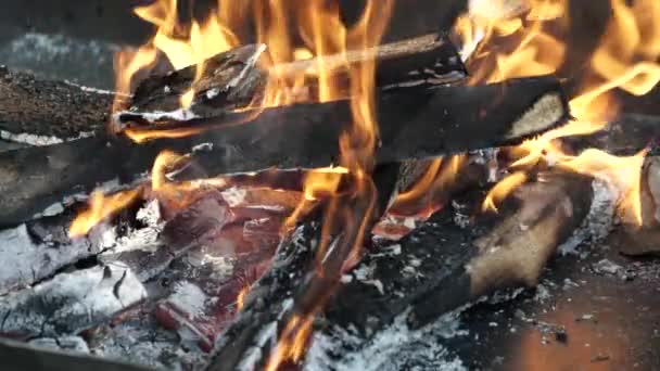 Ateşin Içinde Kurumuş Ahşap Yanıkları Yavaş Çekim — Stok video