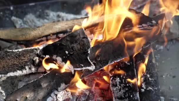 Fire Burning Close View Slow Motion — Wideo stockowe