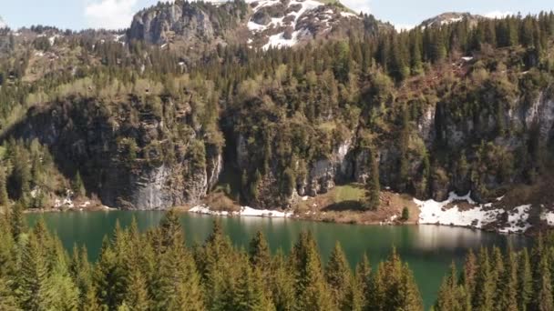 Flying Treetops Revealing Beautiful Lake — Vídeos de Stock