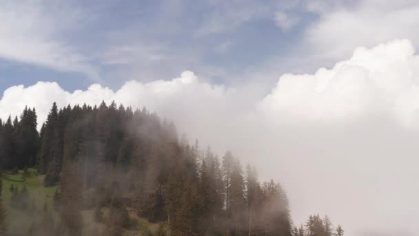 Aerial Trees Mountaintop Clouds — Vídeos de Stock