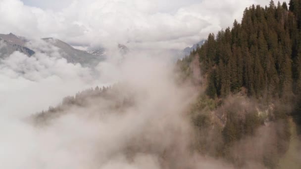 Flying Clouds Forest Covered Mountain Slope — Video Stock