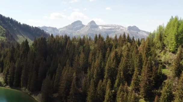 Flying Tree Tops Beautiful Swiss Mountainscape — Vídeo de stock