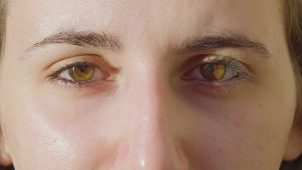 Close Beautiful Light Brown Eyes Caucasian Female Looking Straight Camera — Stockvideo