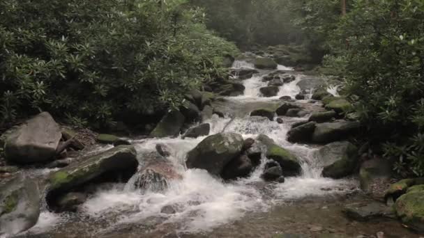 Water Running River Mountains River Rocks — Video