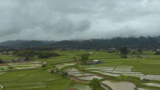 Aerial Rain Drops Rice Fields Mountains Clouds Background — Stockvideo