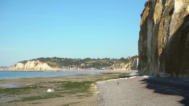 Chalk Coast Dieppe Normandy Low Tide France — Stock video