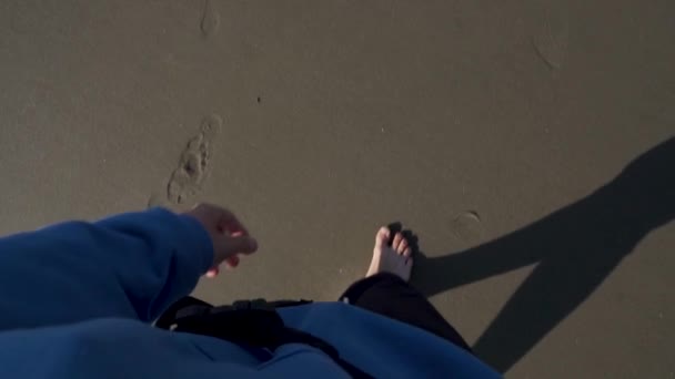 Личный Пленник Человеческих Ног Гуляющий Песчаному Пляжу Тенью Вечернего Солнца — стоковое видео