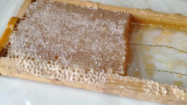 Panning Shot Left Right Bee Hive Comb Frame — Stock videók