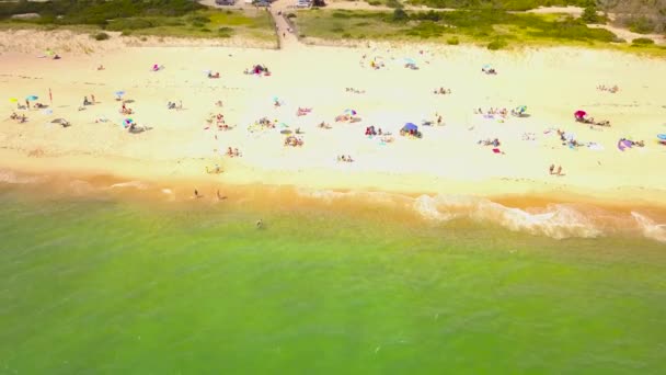 Aerial Backward Tourists White Beach Burlingame Park Charlestown — Stockvideo