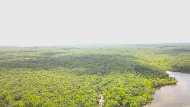 Aerial Reveal Shot Forest Burlingame Park Charlestown United States — Vídeos de Stock