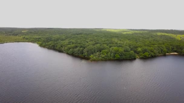 Aerial Panoramic View Tilt Forest Burlingame Park Charlestown — Video Stock