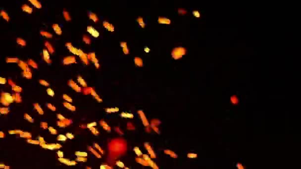 Marvelous Fire Particles Sparkling Dark Background Camp Bonfire — Αρχείο Βίντεο