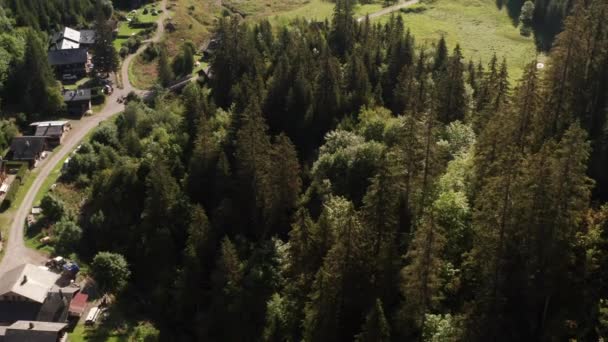 Jib Tree Tops Stunning Lake Beautiful Mountainside Background — Video