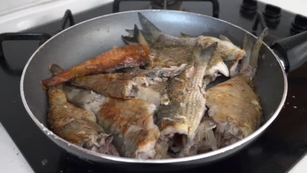 Fish Fried Teflon Pan Healthy Lunch Meal — Vídeo de Stock