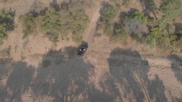 Ariel View Safari Vehicle Taking Tourists Adventure African Outback — ストック動画