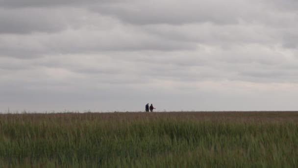 Elderly Couple Walking Field Countryside Left Right Pan — Stock Video