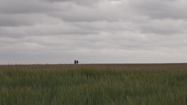 Elderly Couple Walking Field Countryside — Video