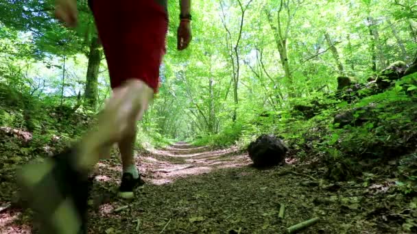 Man Casually Walks Path Woods Static Low Angle — Stockvideo