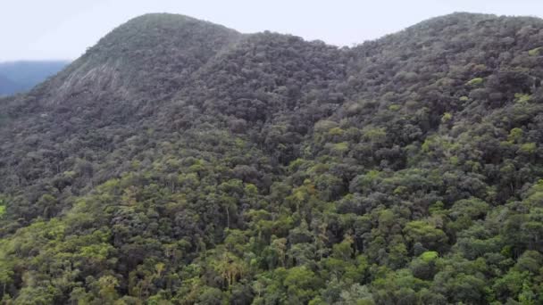 Drone Footage Dense Green Brazilian Rainforest — 图库视频影像