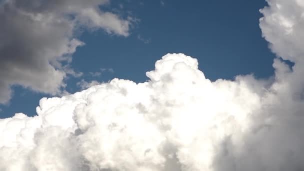 August 2018 Time Lapse Rolling Bilious Cloud Formations Torrential Rain — Stockvideo