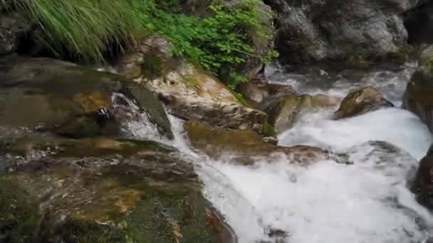 Waterfall Mountain Stream Region Lake Garda Northen Italy — Vídeos de Stock