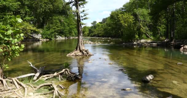 Video Guadalupe River Just Dam Canyon Lake — Stock Video