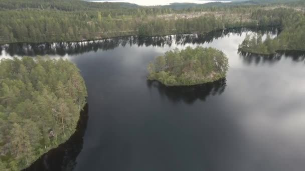 Drone Video Norwegian Forest Lake — Video Stock